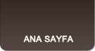 Ana Sayfa